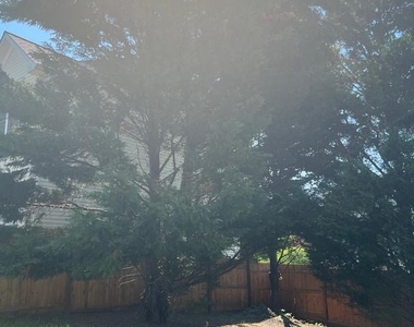 22 Ripley Rd - Photo Thumbnail 73