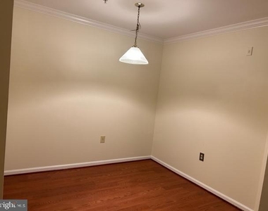 12919 Alton Square - Photo Thumbnail 14
