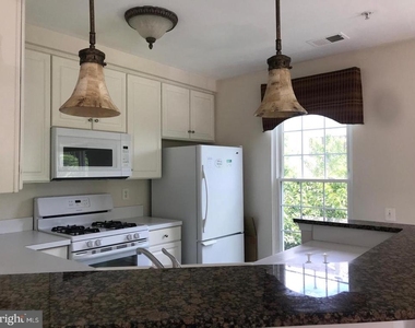 7068 Falls Reach Drive - Photo Thumbnail 4