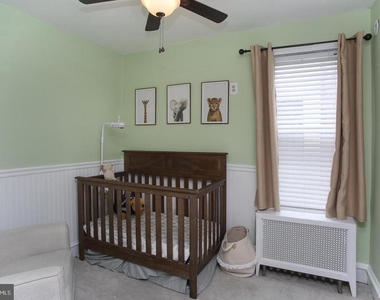 207 Lauriston Street - Photo Thumbnail 15