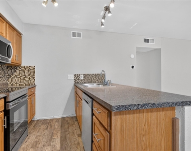 910 Duncan Ln - Photo Thumbnail 9