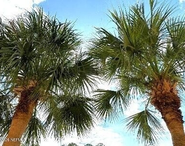 9411 Osprey Branch Trail - Photo Thumbnail 36