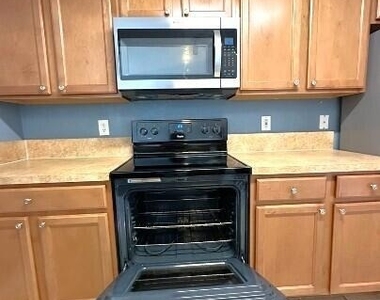 9411 Osprey Branch Trail - Photo Thumbnail 11