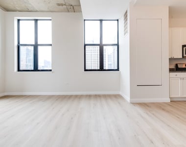 1464 S Michigan Avenue - Photo Thumbnail 6