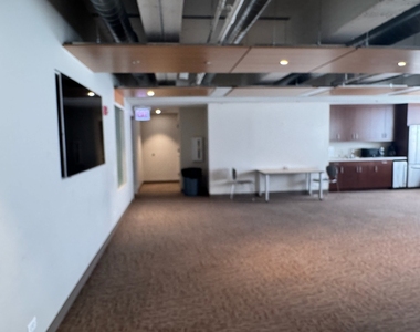 1550 S Blue Island Avenue - Photo Thumbnail 4