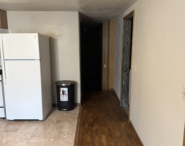 1306 E Green Street - Photo Thumbnail 8