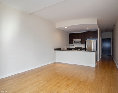 303 W Ohio Street - Photo Thumbnail 10