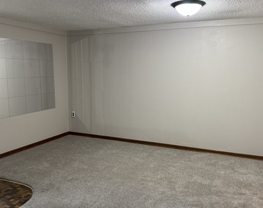 1331 Spruce Hills Drive - Photo Thumbnail 17