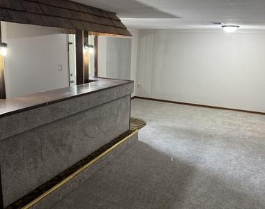 1331 Spruce Hills Drive - Photo Thumbnail 16
