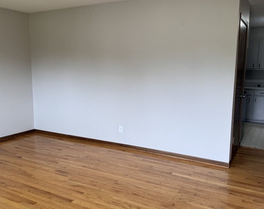 1331 Spruce Hills Drive - Photo Thumbnail 2