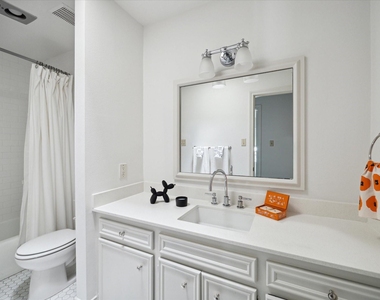 2417 Blue Bonnet Boulevard - Photo Thumbnail 21