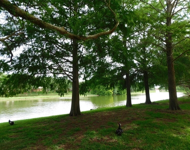 3311 Waters Way Drive - Photo Thumbnail 32