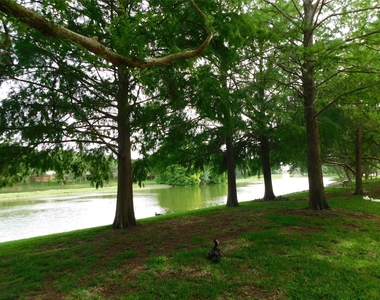 3311 Waters Way Drive - Photo Thumbnail 35