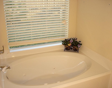 22118 Guston Hall Lane - Photo Thumbnail 15