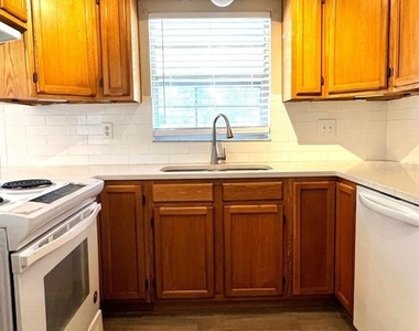 1410 Shady Lane Drive - Photo Thumbnail 5