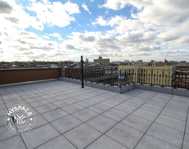 31 Brooklyn Avenue - Photo Thumbnail 15
