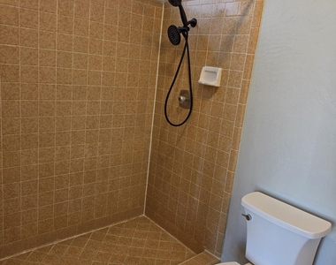 1036 W Minton Drive - Photo Thumbnail 11