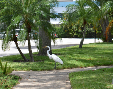 6201 Bay Club Drive - Photo Thumbnail 24