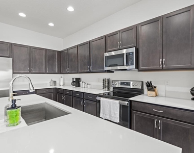 16450 Sea Turtle Place - Photo Thumbnail 8