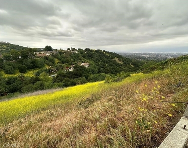 20410 Seton Hill Drive - Photo Thumbnail 8