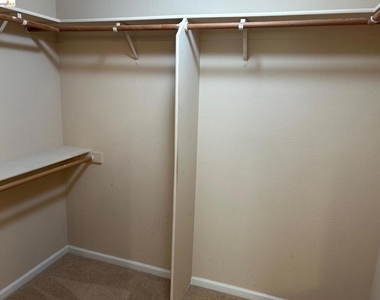 501 Red Rome Ln - Photo Thumbnail 15