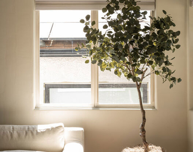 5140 Miriam Street - Photo Thumbnail 6