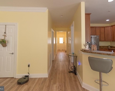 57 Denison Street - Photo Thumbnail 1