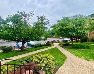 3330 Spring Lane - Photo Thumbnail 2