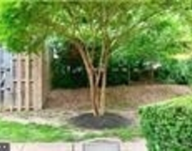 3330 Spring Lane - Photo Thumbnail 4