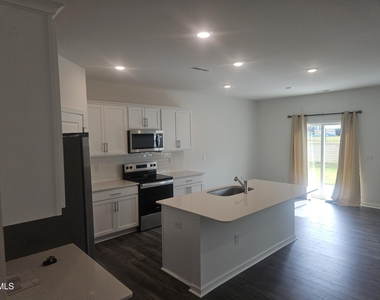 390 Hanging Elm Lane - Photo Thumbnail 3