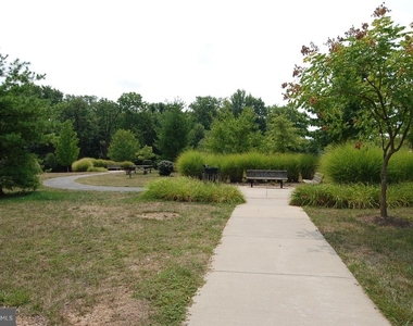 11420 Tulip Poplar Terrace - Photo Thumbnail 37