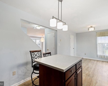 11420 Tulip Poplar Terrace - Photo Thumbnail 7