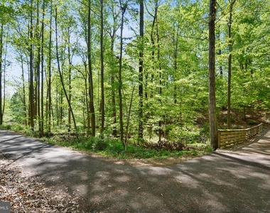 11420 Tulip Poplar Terrace - Photo Thumbnail 25
