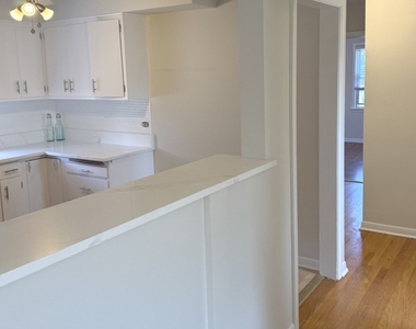 2718 W Balmoral Avenue - Photo Thumbnail 9