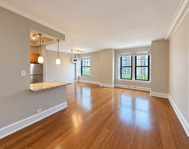 3170 N Sheridan Road - Photo Thumbnail 8