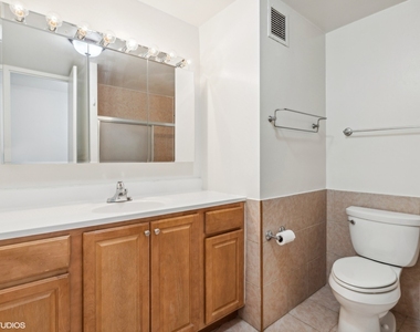 505 N Lake Shore Drive - Photo Thumbnail 8