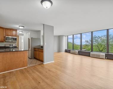 505 N Lake Shore Drive - Photo Thumbnail 3
