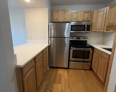1255 N Sandburg Terrace - Photo Thumbnail 2