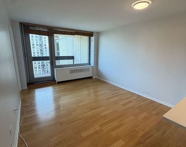1255 N Sandburg Terrace - Photo Thumbnail 3