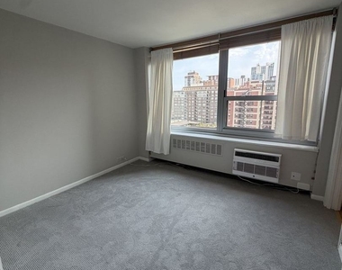1255 N Sandburg Terrace - Photo Thumbnail 7