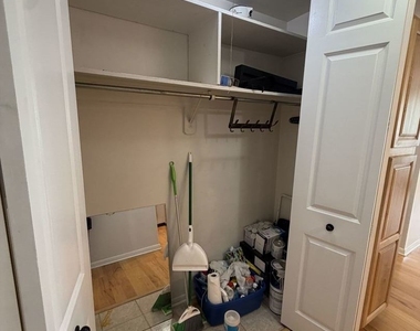 1255 N Sandburg Terrace - Photo Thumbnail 11