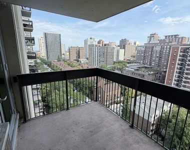 1255 N Sandburg Terrace - Photo Thumbnail 4