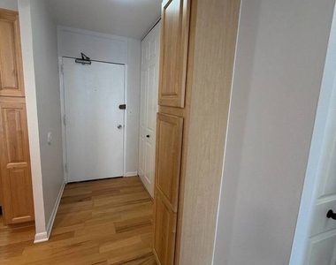1255 N Sandburg Terrace - Photo Thumbnail 12