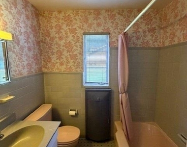91 Rose - Photo Thumbnail 14