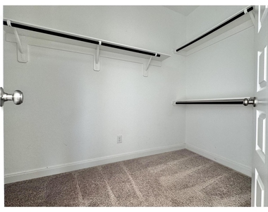27034 Triana River Circle - Photo Thumbnail 25