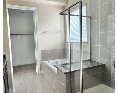 27034 Triana River Circle - Photo Thumbnail 24
