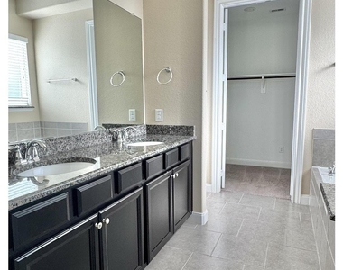 27034 Triana River Circle - Photo Thumbnail 23