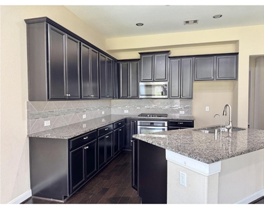 27034 Triana River Circle - Photo Thumbnail 18