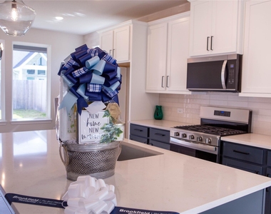 24907 Vervain Meadow Trail - Photo Thumbnail 2