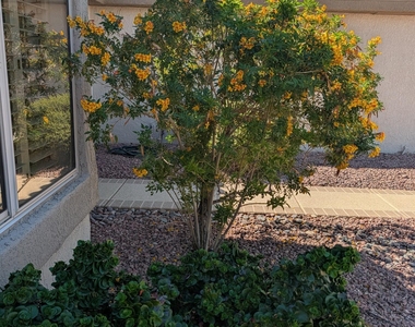 16225 W Tapatio Drive - Photo Thumbnail 29